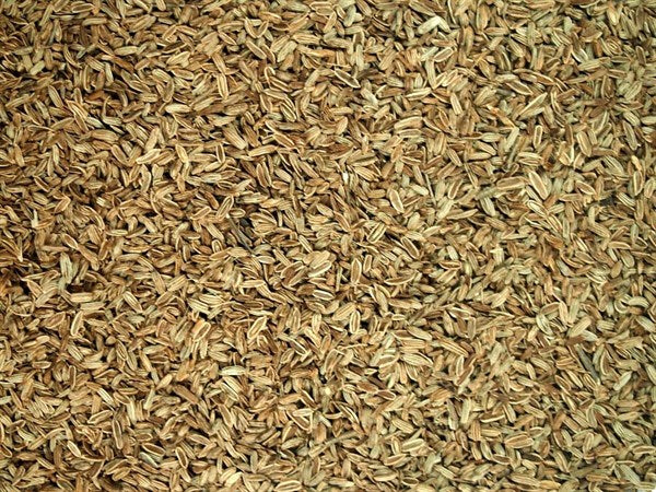 Plody fenyklu - 100 g