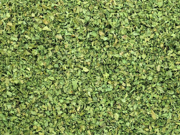 List koriandru - 100 g