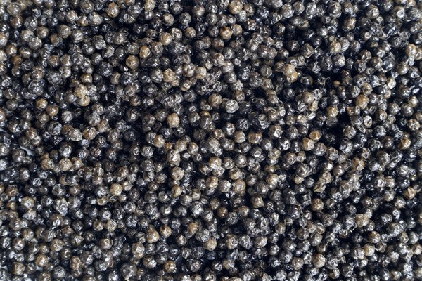 Bio fermentovaný černý pepř - 100 g