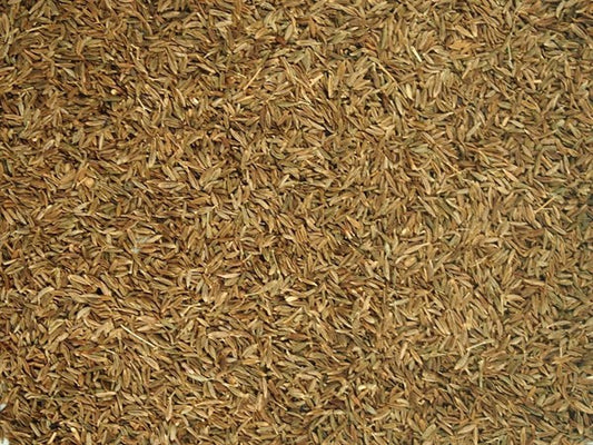Římský kmín celý - 100 g