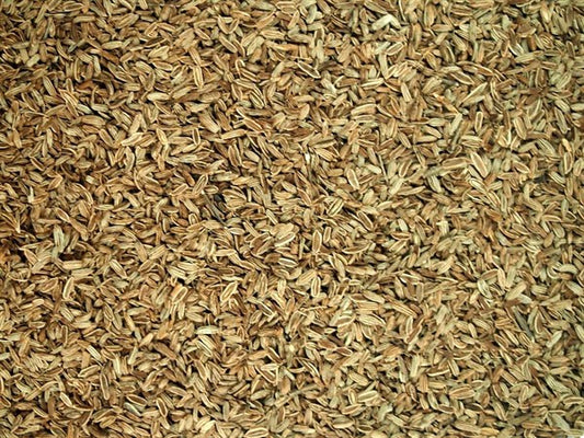 Plody fenyklu - 100 g