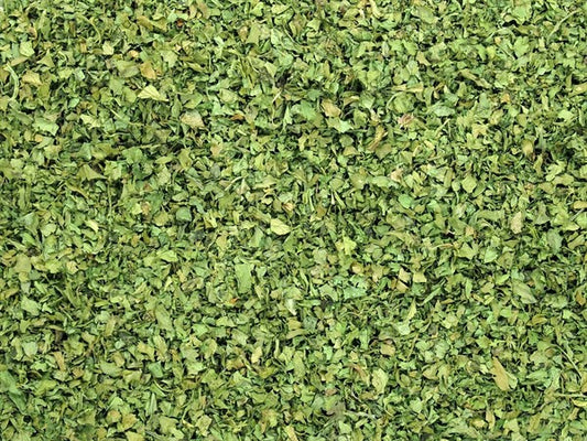 List koriandru - 100 g
