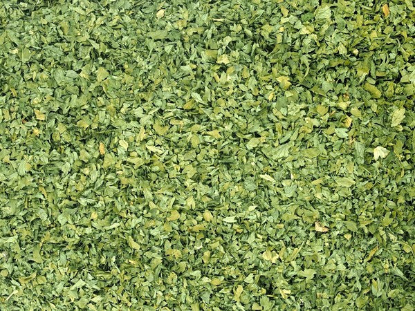 BIO petržel - 100 g