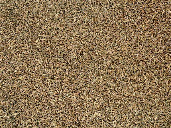 Český kmín celý bio - 100 g