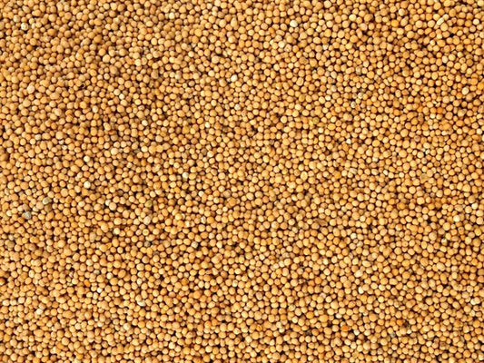 Bílá hořčice celá - 100 g