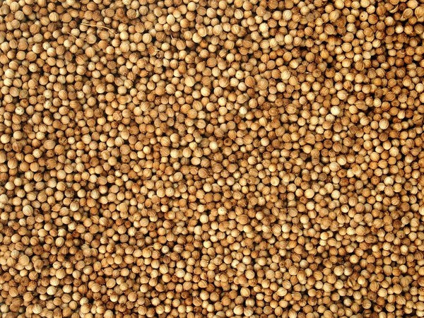 Celý bio koriandr - 100 g