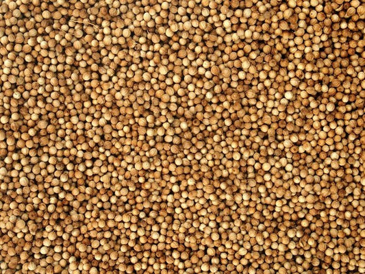 Celý bio koriandr - 100 g