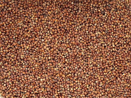 Guinejský pepř - semena rajčat - 100 g