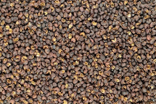 Sečuánský pepř Timut celý BIO - 100g