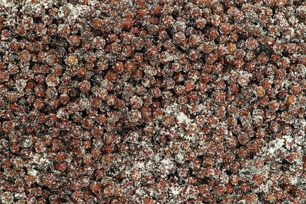 Kampot černý pepř fermentovaný se solnými květy - 100 g