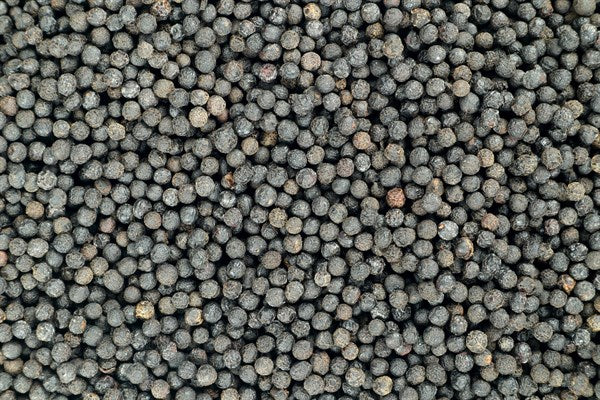 Verbena pepř - 100 g