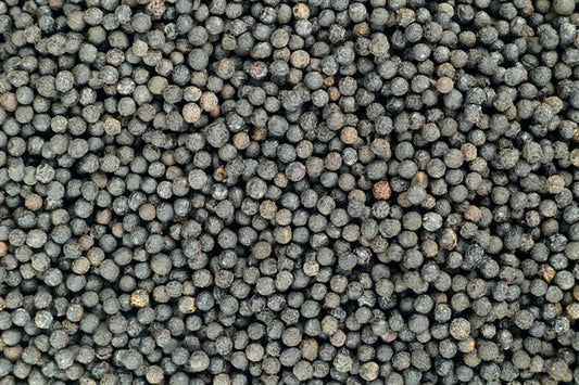 Verbena pepř - 100 g