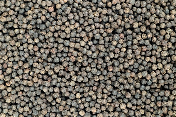BIO pepř Kampot černý - 100g
