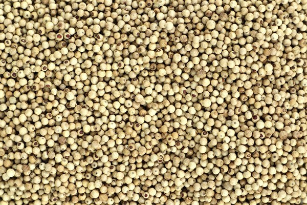 Celý bílý pepř Penja - 100 g